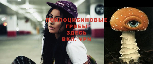 метадон Абаза